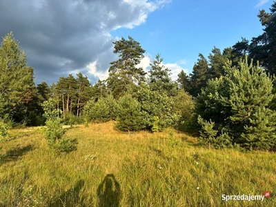 Działka budowlano-leśna w Poniatowie, 0,86 ha – 40 tys. zł