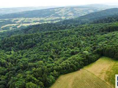 Działka Stary Żmigród 96100m2