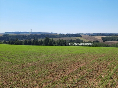 Miechów (gw) Brzuchania , 14 150,00 m