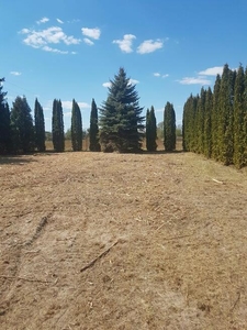 Piękna działka pod Grodziskiem Mazowieckim (Natolin)