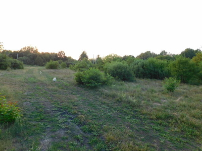 Działka Budowlana w południowym Milanówku