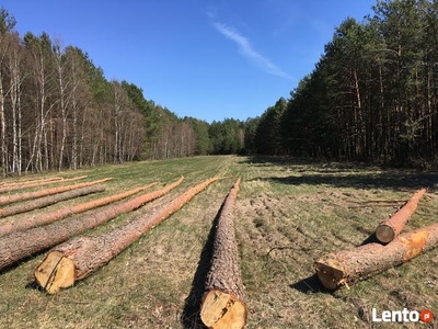 Działka budowlano-rolna 7800 m 2