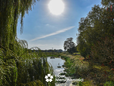 Działka rolna Kozice Dolne-Kolonia gm. Piaski,