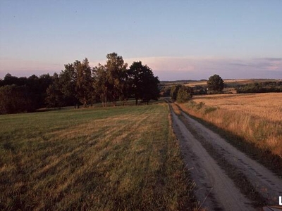 Działka rolna Miedziana gm. Sulików