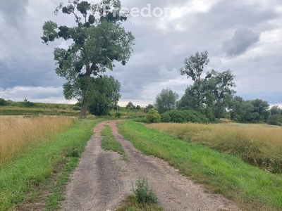 Działka rolna o pow. 9800 m2 -Kamienica.