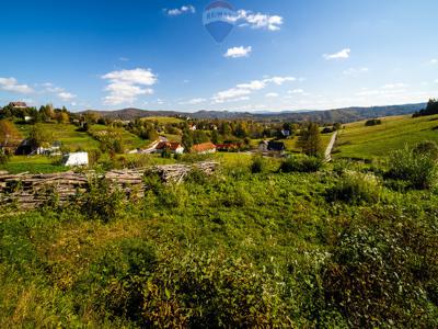 Leski, Solina, Polańczyk