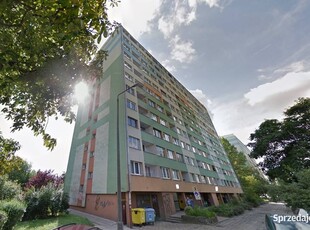 2pok, 37met, okolice Alei Pracy WINDA/BALKON (Wrocław)