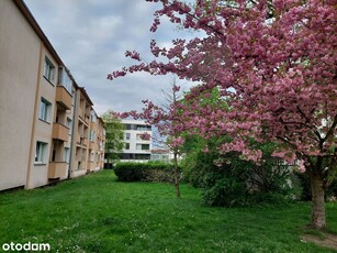 JASNE BŁONIA-HERBOWA; 3 pokoje; 1 piętro; balkon