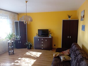 Nowa Palmiarnia | apartament 1-pok. | C10