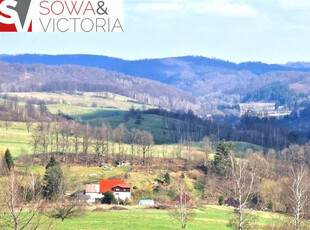 Panorama Góry Sowie, Zamek Grodno