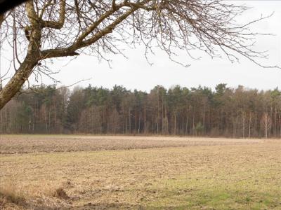 Działka na sprzedaż, Skierniewicki, Wola Szydłowiecka