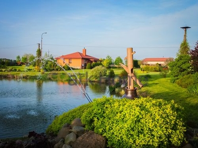 Dom na sprzedaż 3 pokoje płocki, 120 m2, działka 9200 m2