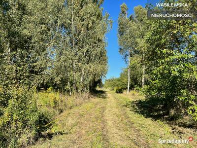 Działka budowlana 2000m2, 3 km od Radziejowic