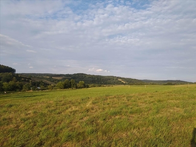 Działka na sprzedaż, Leski, Zahoczewie