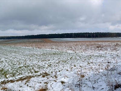 Działka na sprzedaż, Tomaszowski, Jasień