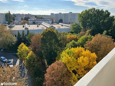 Generalny Remont 42,5m2 Sady Żoliborz Bezpośrednio