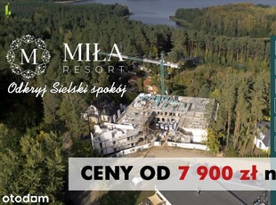 Apartament z dużmi oknami - 40,55 m² - Miła Resort