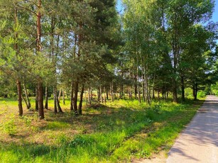 Działka rekreacyjna, budowlana, 2400m2, Puszcza Kozienicka