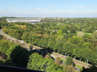 Katowice, Os. Tysiąclecia, Zawiszy Czarnego