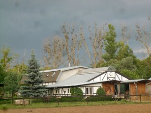 Sprzedam stajnia-dom-agroturystyka -puszcza kampinoska