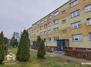 3 pokoje / parter / 57 m2 / ogródek / ul. Nowowiejskiego