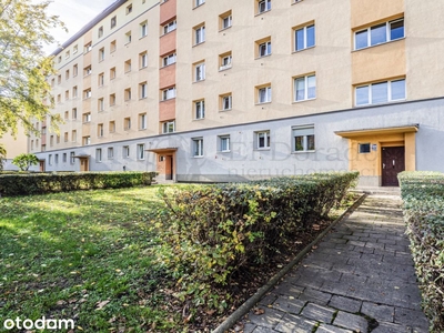 3-pokojowe mieszkanie 52m2 + balkon Bezpośrednio