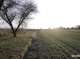 Działka budowlana blisko Lubartowa tylko 4 km