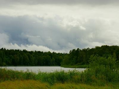 Działka z linią brzegową