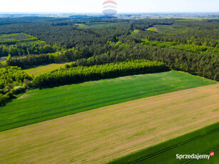 3,8 ha w Charzynie koło Kołobrzegu z potencjałem!