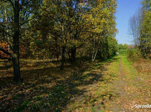 Działka budowlana 1795m2, Puszcza Mariańska