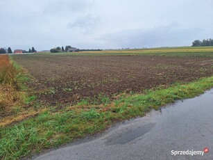 Działka budowlana Krzyżanówka gm. Sienno 5000 m2