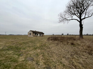 Działka rolno-budowlana Czarnolas