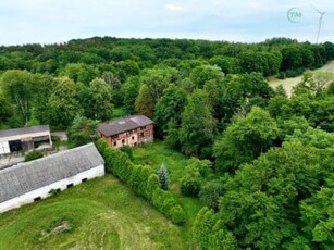 Działka siedliskowa Świerznica