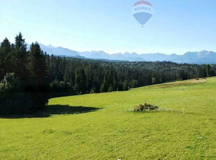 DZIAŁKA W RZEPISKACH Z WIDOKIEM NA TATRY