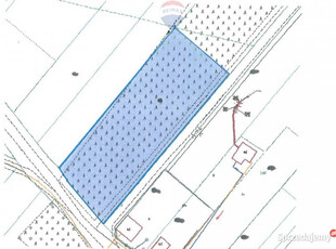 DZIAŁKA Z POTENCJAŁEM W ZIELONEJ OKOLICY