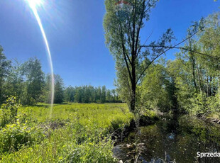 Działka ze stawem, 4085m2 w Budach Michałowskich