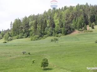 Działki w miejscowości Krośnica