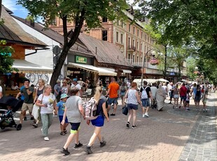 Lokal użytkowy na wynajem