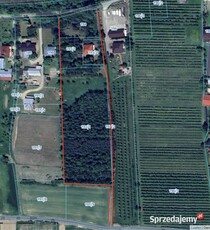 Nieruchomość pow. 1,37ha. Świdnik gm.Łukowica