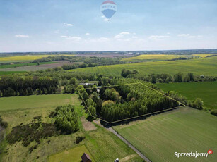 Wyjątkowe miejsce nad morzem w gminie Choczewo.