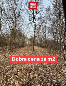 Działka budowlana Kobyłka, ul. Podleśna