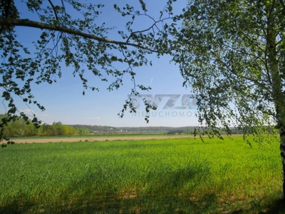 Działka budowlana Wojszyn