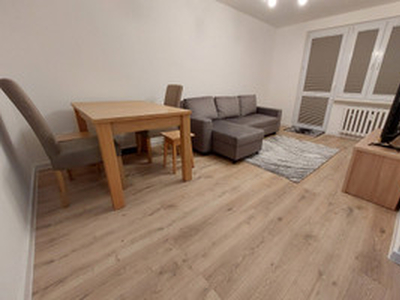 Mieszkanie na sprzedaż, 39 m², Kielce