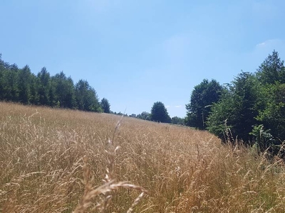 Beskid Niski lokata kapitału