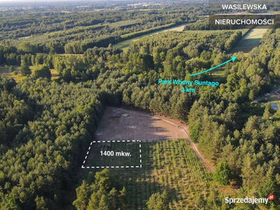 Działka 1400 m2 obok sosnowego lasu