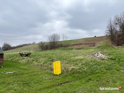 Działka budowlana Olszany gm. Krasiczyn 20 arów