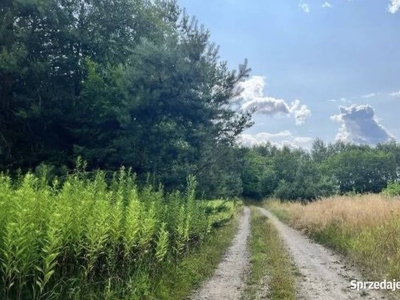 Działka z możliwością zabudowy.