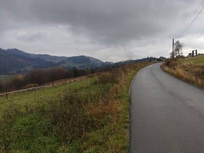 Syndyk sprzeda - nieruchomości gruntowe w Dursztynie