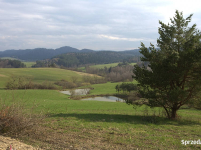 Bieszczady -Działki w super cenie i lokalizacji