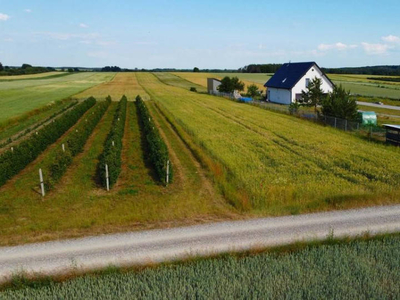 Borów Kol. Duża działka z możliwością uzyskania WZ